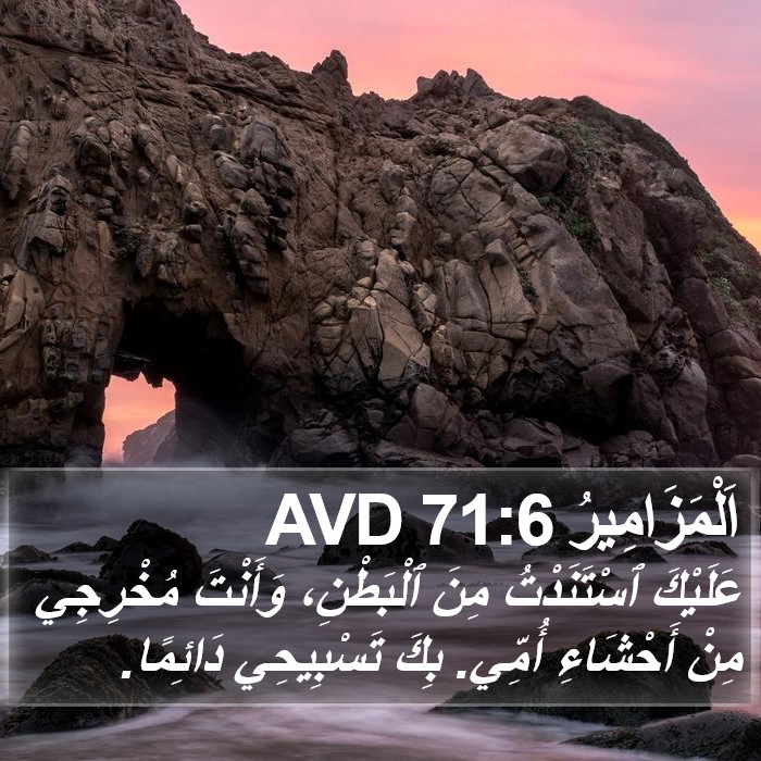 اَلْمَزَامِيرُ 71:6 AVD Bible Study