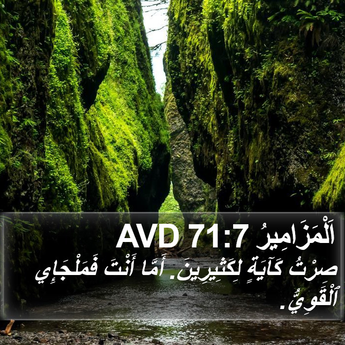 اَلْمَزَامِيرُ 71:7 AVD Bible Study