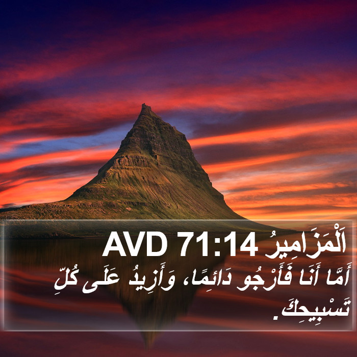 اَلْمَزَامِيرُ 71:14 AVD Bible Study