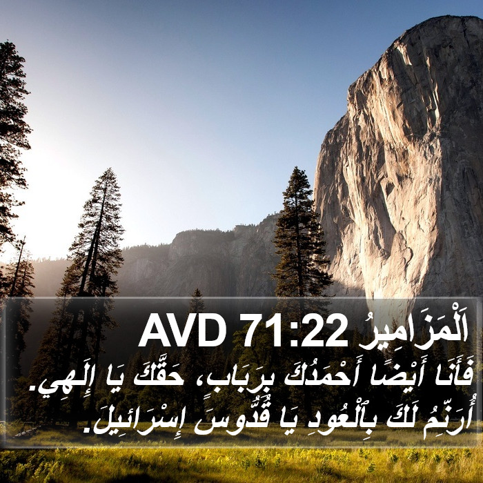 اَلْمَزَامِيرُ 71:22 AVD Bible Study