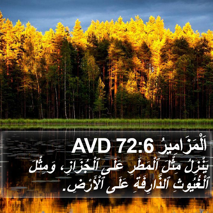 اَلْمَزَامِيرُ 72:6 AVD Bible Study