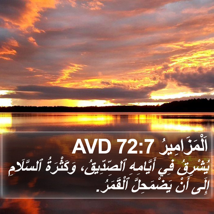 اَلْمَزَامِيرُ 72:7 AVD Bible Study