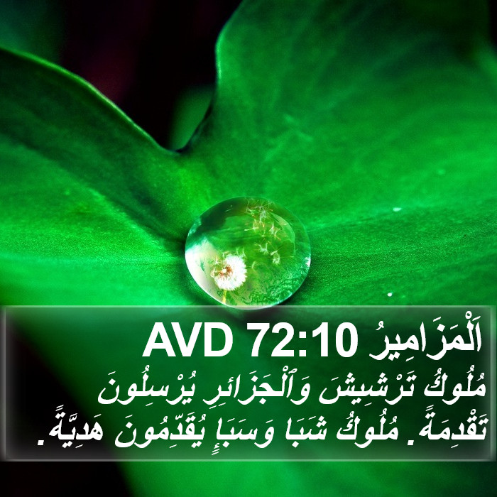 اَلْمَزَامِيرُ 72:10 AVD Bible Study