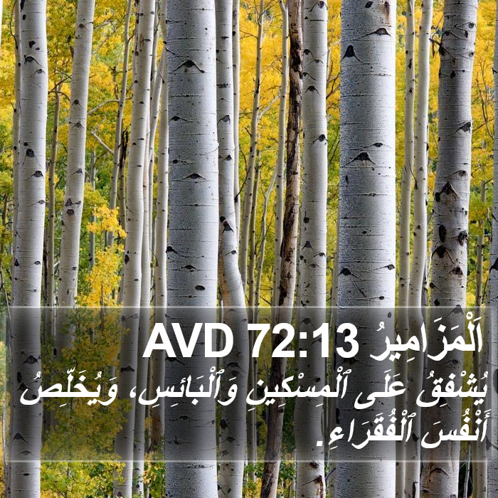 اَلْمَزَامِيرُ 72:13 AVD Bible Study