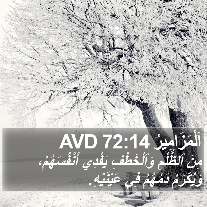 اَلْمَزَامِيرُ 72:14 AVD Bible Study