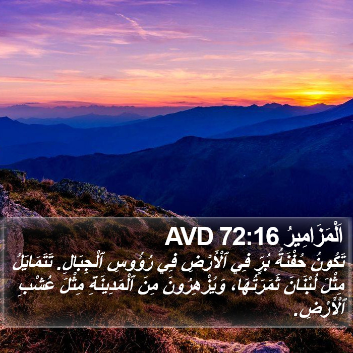 اَلْمَزَامِيرُ 72:16 AVD Bible Study