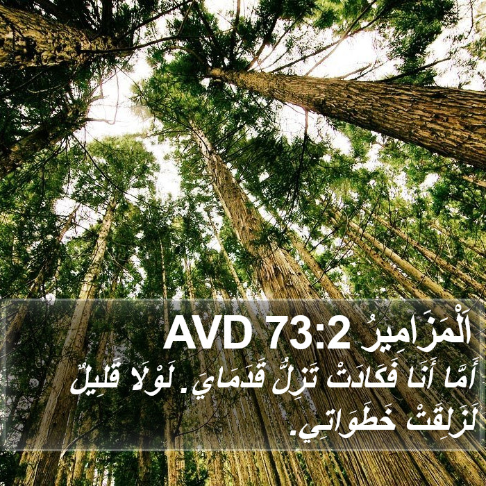 اَلْمَزَامِيرُ 73:2 AVD Bible Study