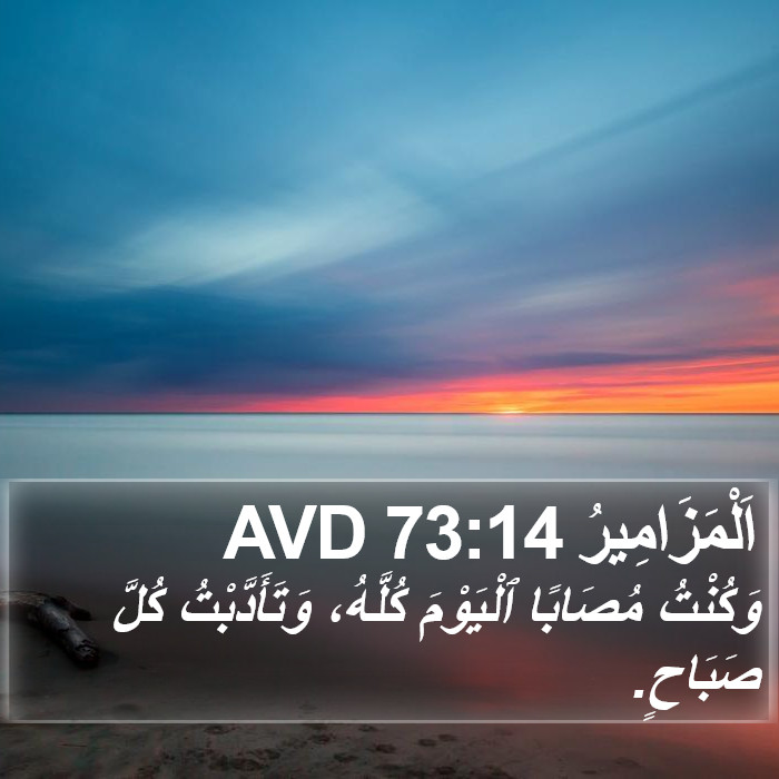 اَلْمَزَامِيرُ 73:14 AVD Bible Study