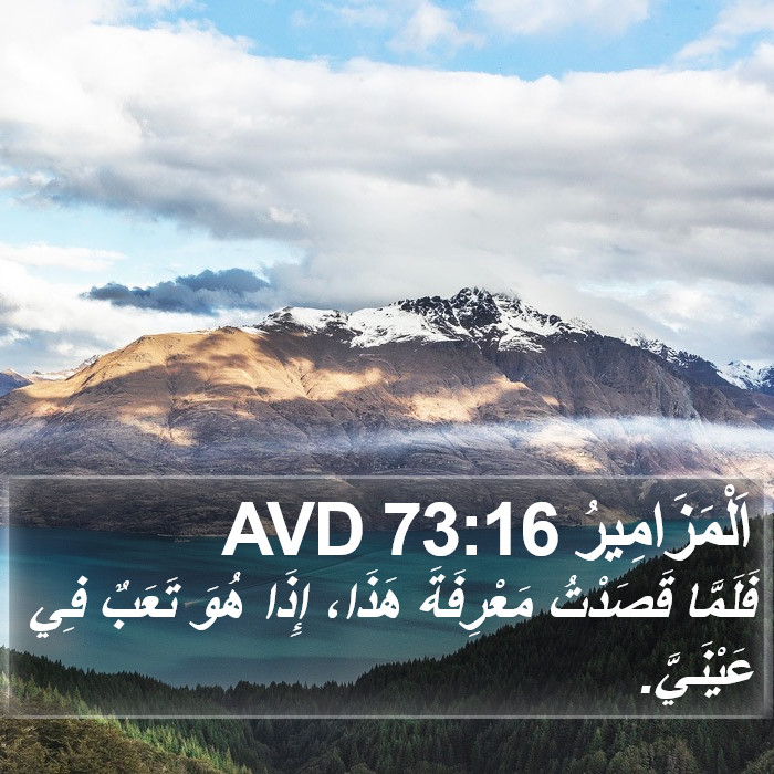 اَلْمَزَامِيرُ 73:16 AVD Bible Study