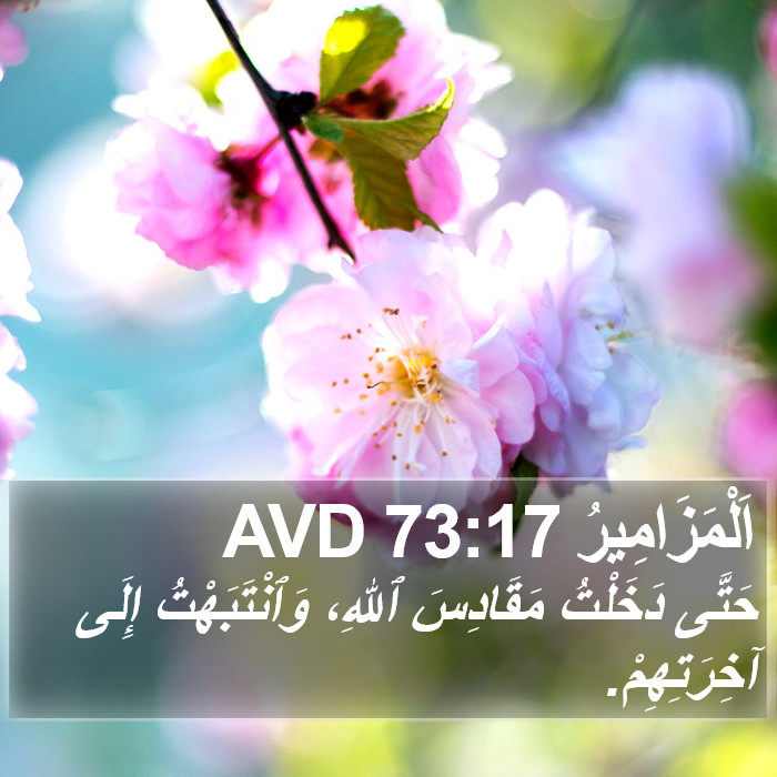 اَلْمَزَامِيرُ 73:17 AVD Bible Study