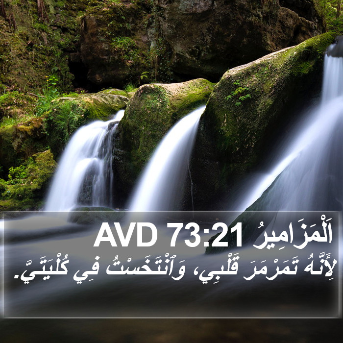 اَلْمَزَامِيرُ 73:21 AVD Bible Study