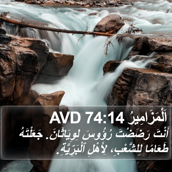 اَلْمَزَامِيرُ 74:14 AVD Bible Study