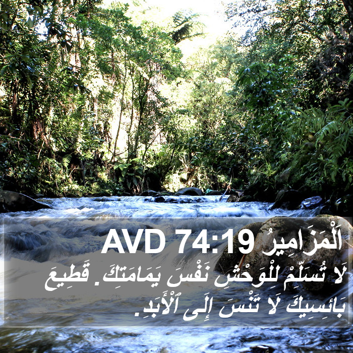 اَلْمَزَامِيرُ 74:19 AVD Bible Study