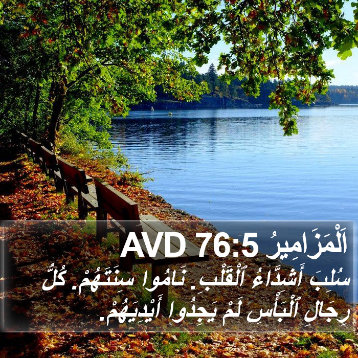 اَلْمَزَامِيرُ 76:5 AVD Bible Study