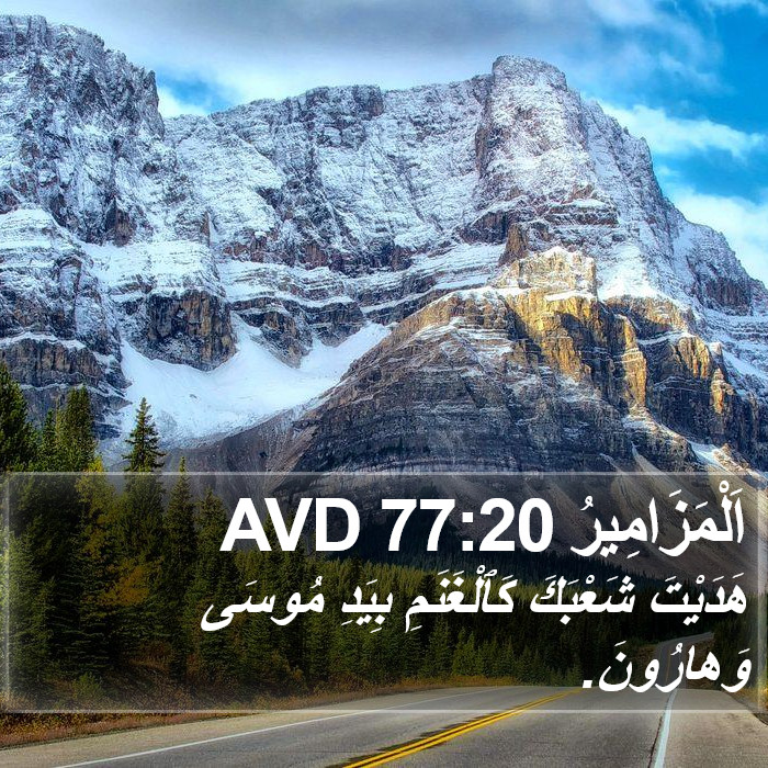 اَلْمَزَامِيرُ 77:20 AVD Bible Study