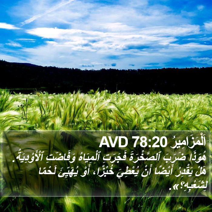 اَلْمَزَامِيرُ 78:20 AVD Bible Study