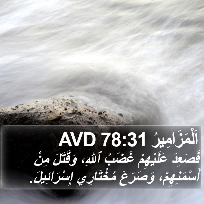 اَلْمَزَامِيرُ 78:31 AVD Bible Study