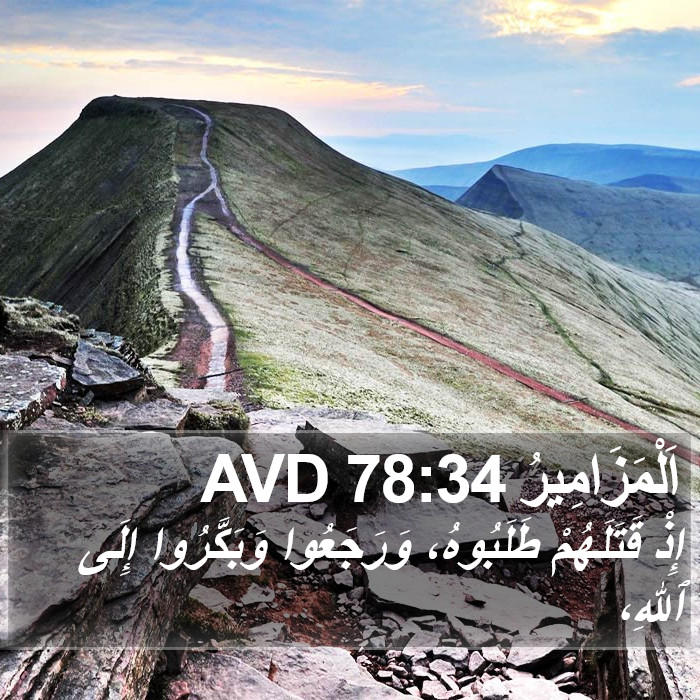 اَلْمَزَامِيرُ 78:34 AVD Bible Study