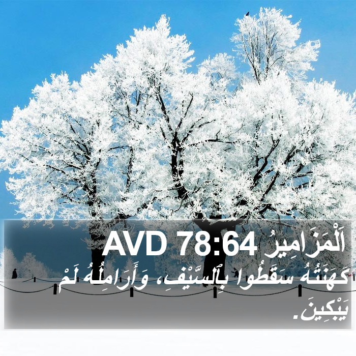 اَلْمَزَامِيرُ 78:64 AVD Bible Study