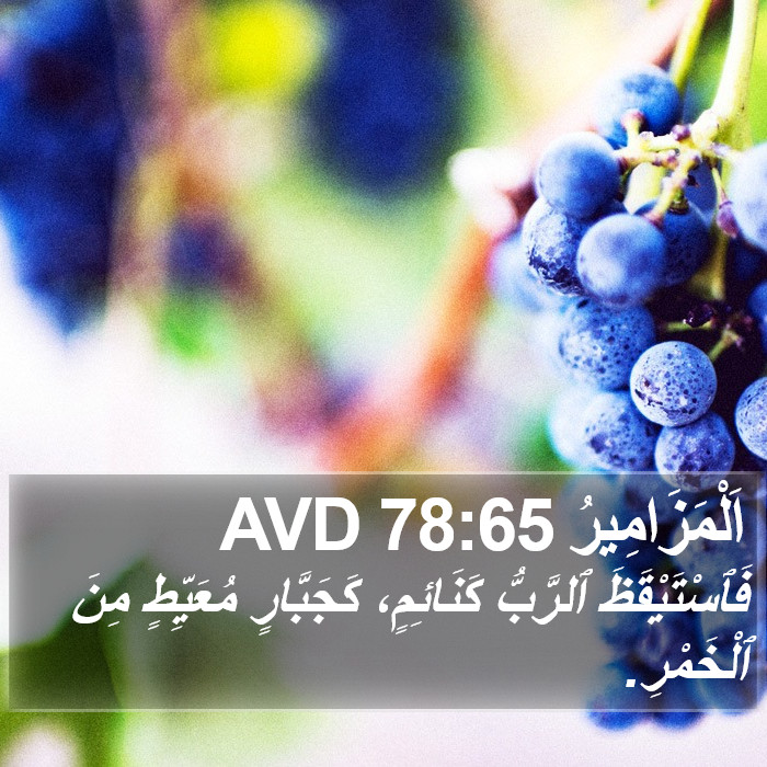 اَلْمَزَامِيرُ 78:65 AVD Bible Study