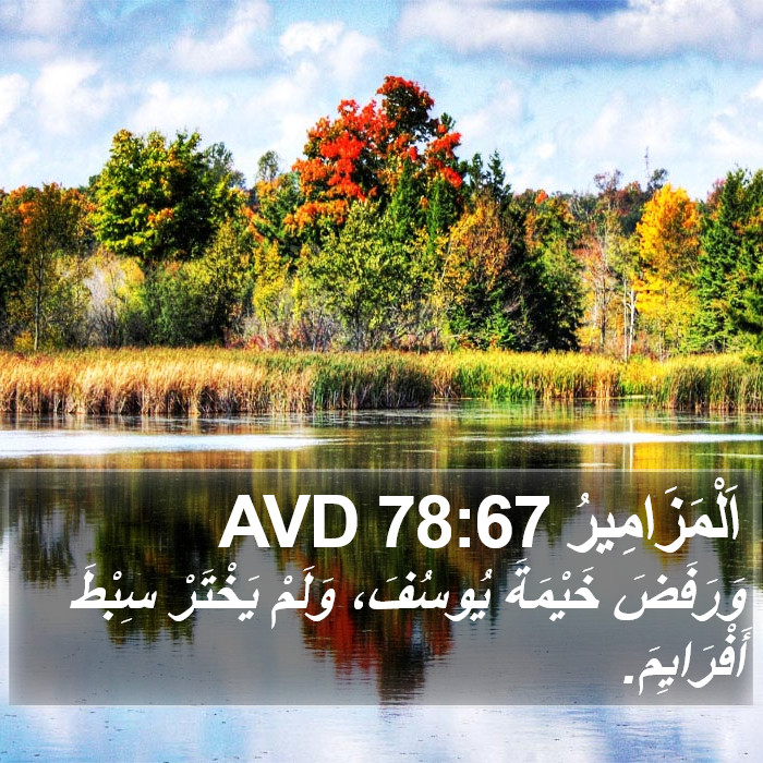 اَلْمَزَامِيرُ 78:67 AVD Bible Study