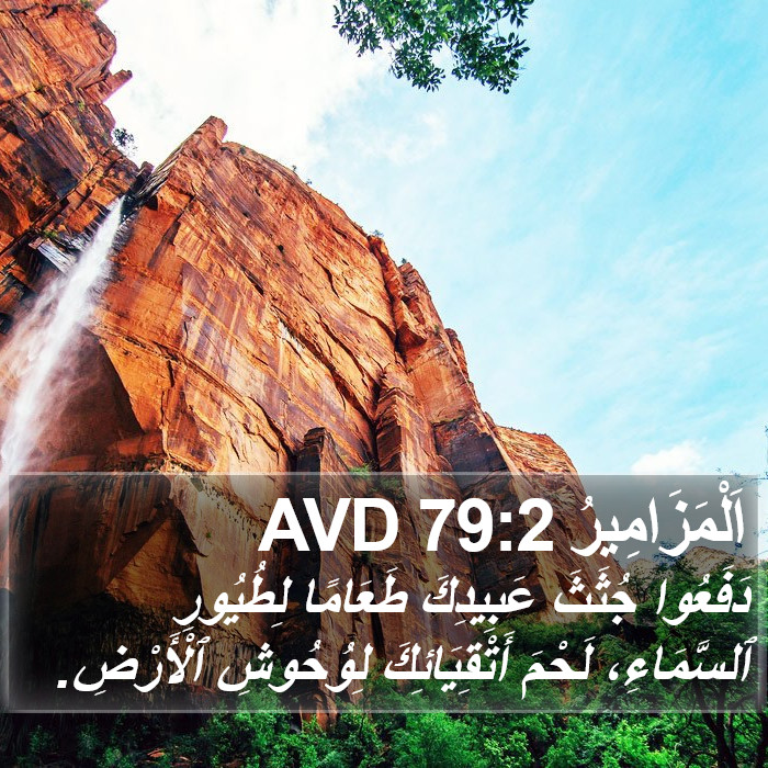 اَلْمَزَامِيرُ 79:2 AVD Bible Study