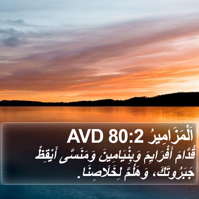 اَلْمَزَامِيرُ 80:2 AVD Bible Study