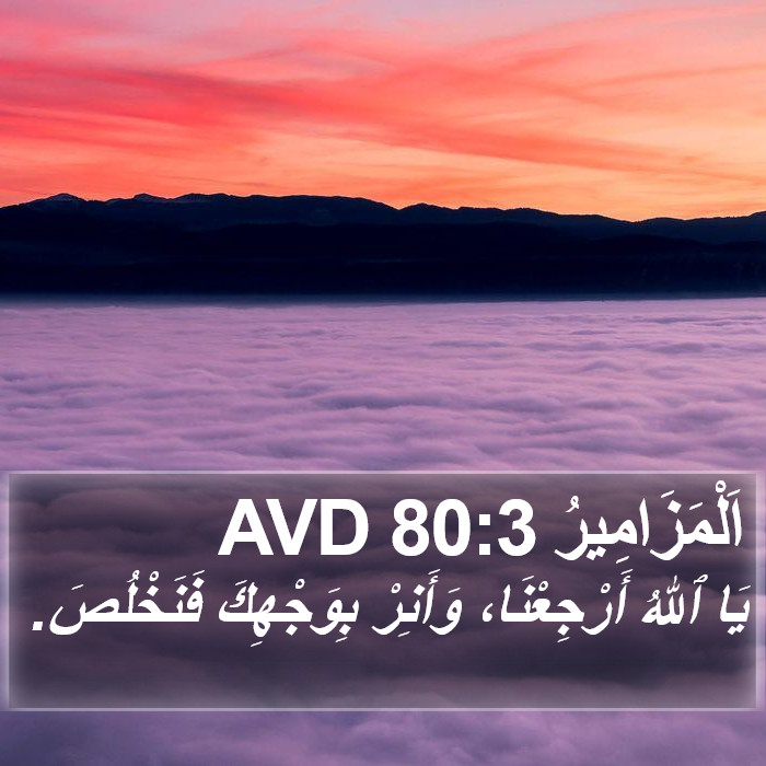 اَلْمَزَامِيرُ 80:3 AVD Bible Study