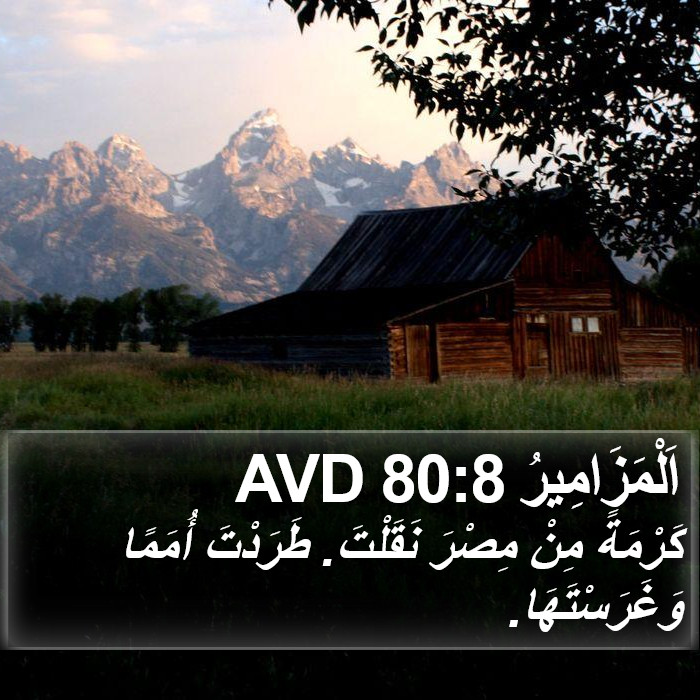 اَلْمَزَامِيرُ 80:8 AVD Bible Study