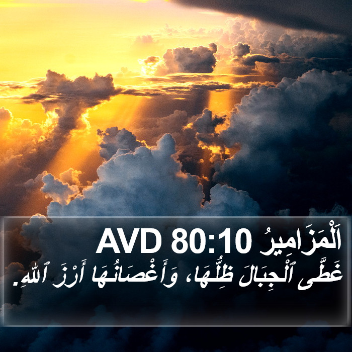 اَلْمَزَامِيرُ 80:10 AVD Bible Study