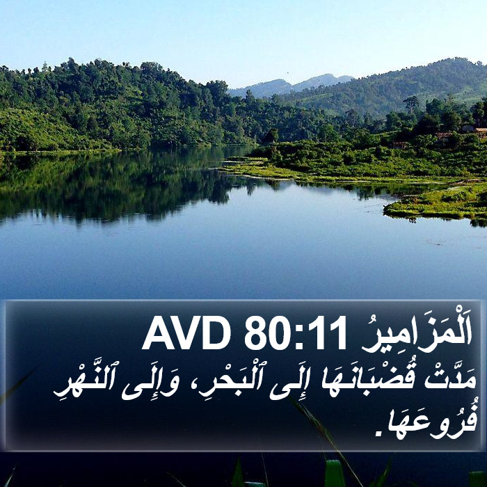 اَلْمَزَامِيرُ 80:11 AVD Bible Study