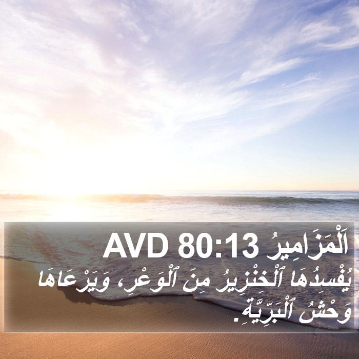 اَلْمَزَامِيرُ 80:13 AVD Bible Study