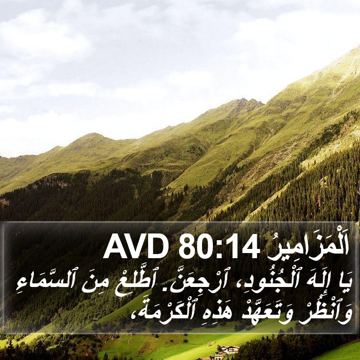 اَلْمَزَامِيرُ 80:14 AVD Bible Study