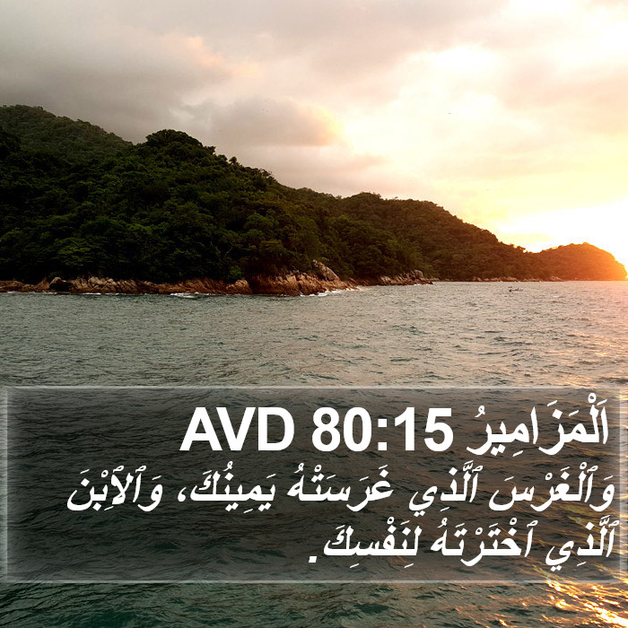 اَلْمَزَامِيرُ 80:15 AVD Bible Study