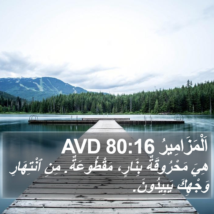 اَلْمَزَامِيرُ 80:16 AVD Bible Study