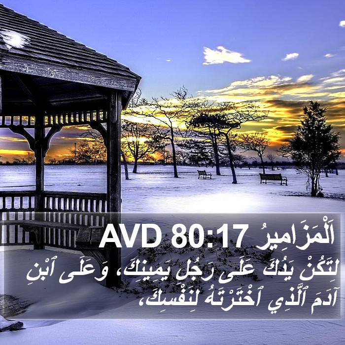 اَلْمَزَامِيرُ 80:17 AVD Bible Study