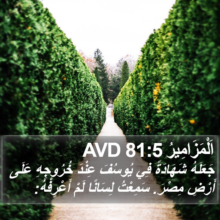 اَلْمَزَامِيرُ 81:5 AVD Bible Study