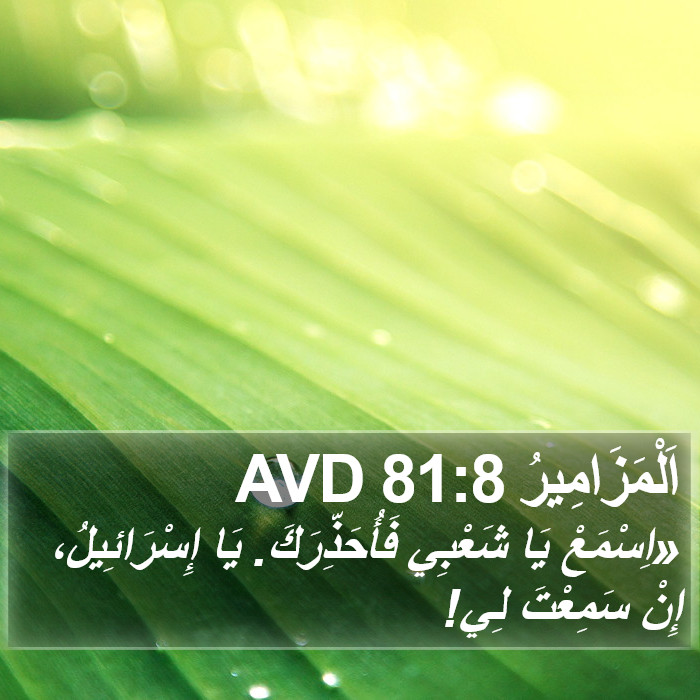 اَلْمَزَامِيرُ 81:8 AVD Bible Study