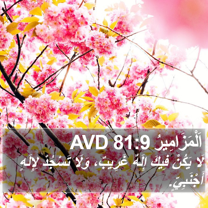 اَلْمَزَامِيرُ 81:9 AVD Bible Study