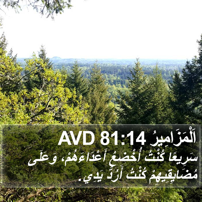 اَلْمَزَامِيرُ 81:14 AVD Bible Study