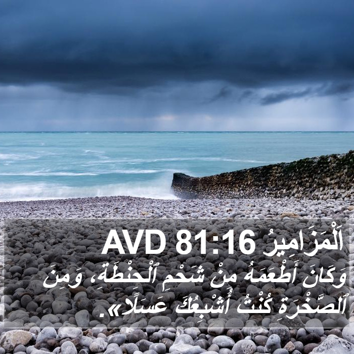 اَلْمَزَامِيرُ 81:16 AVD Bible Study