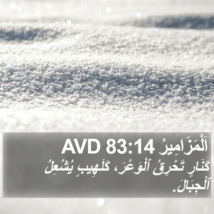 اَلْمَزَامِيرُ 83:14 AVD Bible Study