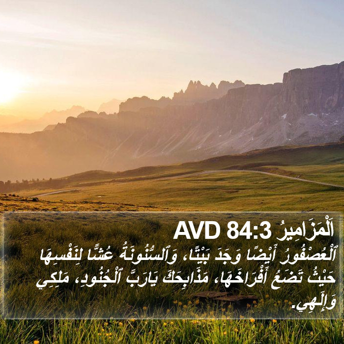 اَلْمَزَامِيرُ 84:3 AVD Bible Study