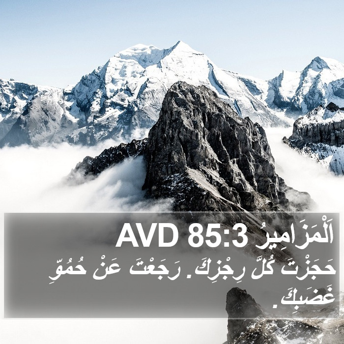 اَلْمَزَامِيرُ 85:3 AVD Bible Study