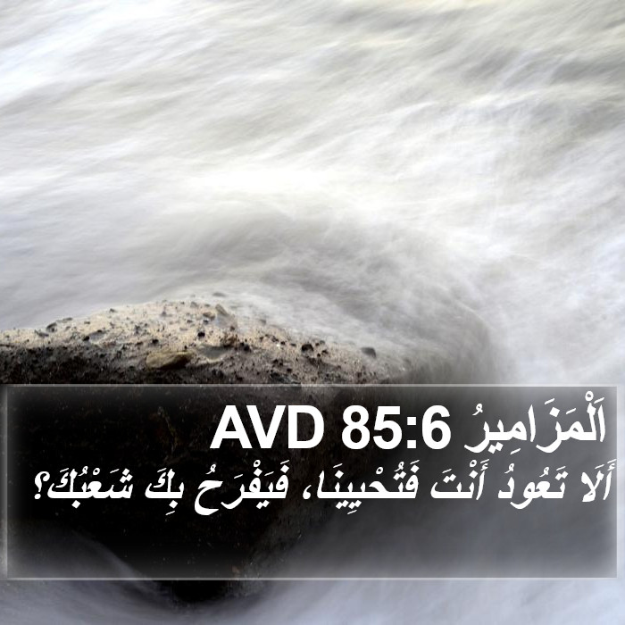 اَلْمَزَامِيرُ 85:6 AVD Bible Study