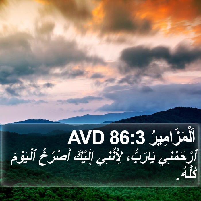 اَلْمَزَامِيرُ 86:3 AVD Bible Study