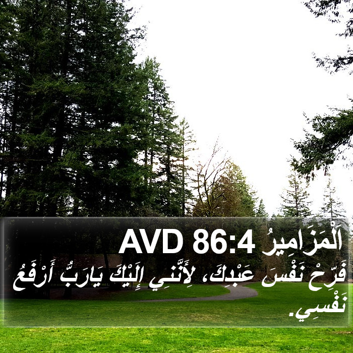 اَلْمَزَامِيرُ 86:4 AVD Bible Study