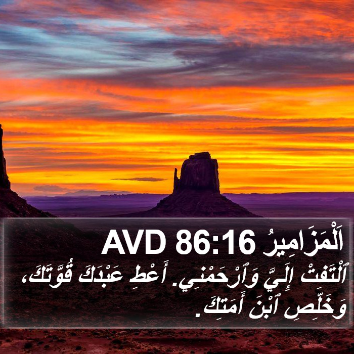 اَلْمَزَامِيرُ 86:16 AVD Bible Study