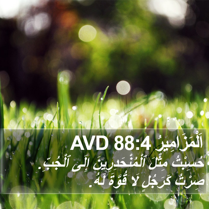 اَلْمَزَامِيرُ 88:4 AVD Bible Study