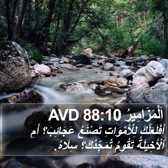 اَلْمَزَامِيرُ 88:10 AVD Bible Study
